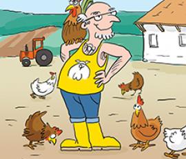 Poules_pondeuses_sans_antibiotique_bien_être_animal