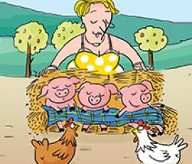 Poules_pondeuses_sans_antibiotique_santé