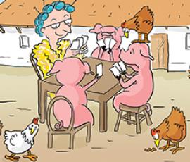 Poules_pondeuses_sans_antibiotique_atelier_condi
