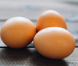 Poules_pondeuses_sans_antibiotique_centre_condi