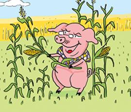 Broceliande filière porc BIO