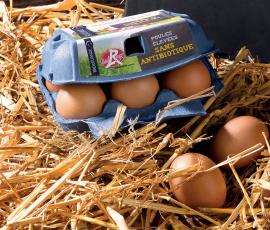 Poules_pondeuses_sans_antibiotique_environnement