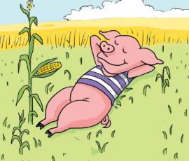 Stop aux pesticides !