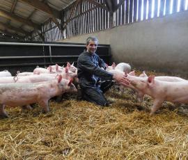 cochon bio