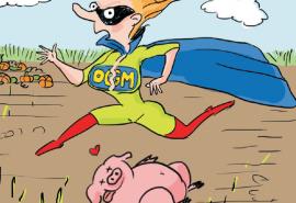 Non aux OGM !