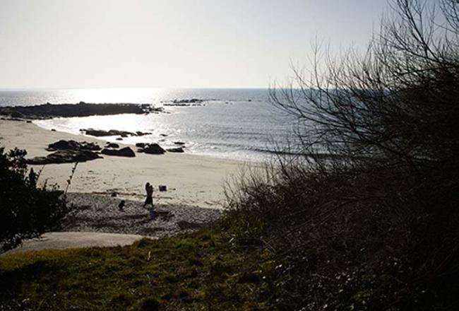 Paysage